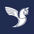 IR logo