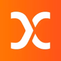 IX logo