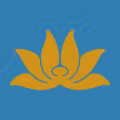 VN logo