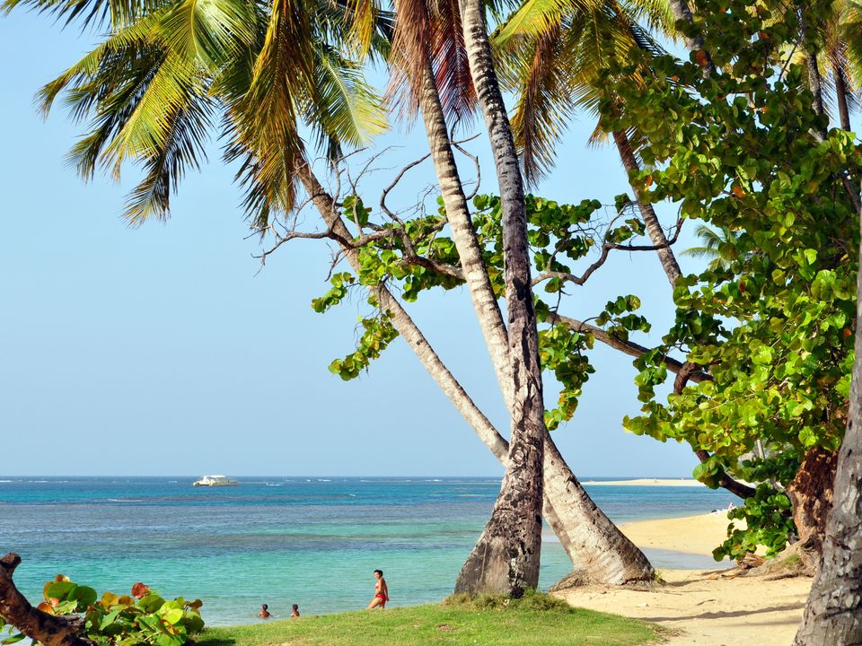 Launceston (Western Junction) city