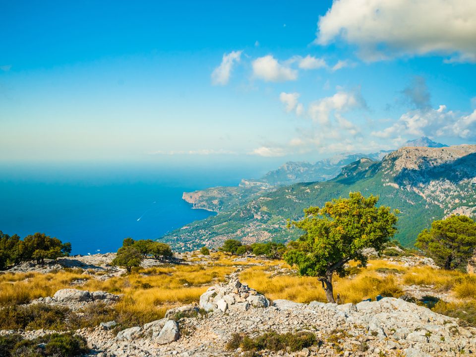 Palma de Mallorca city