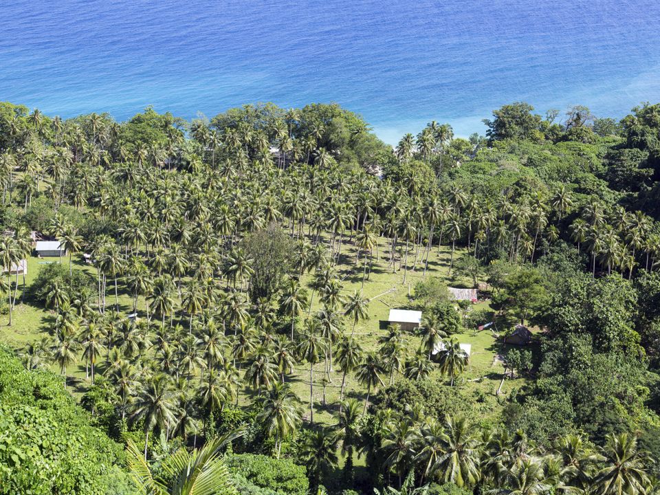 Malekula Island city