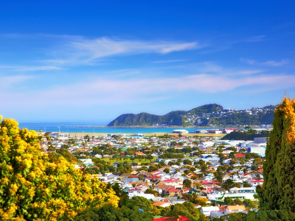 Wellington city